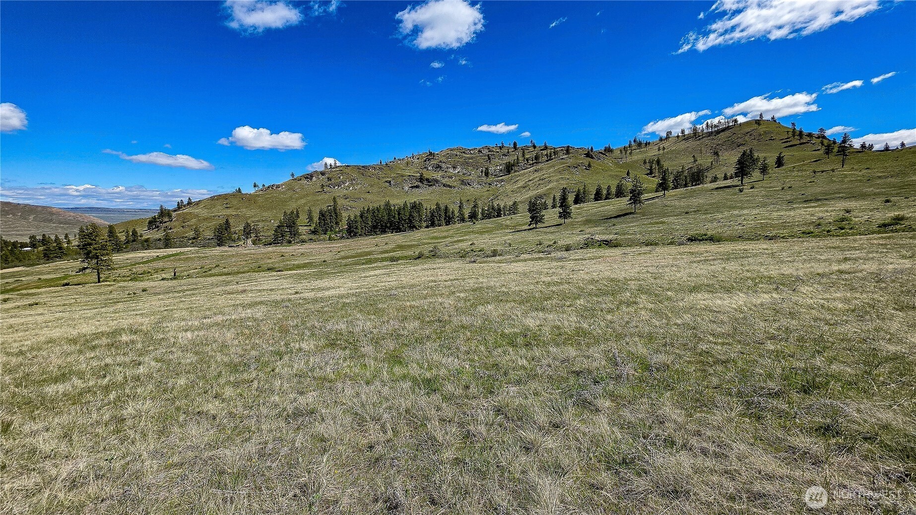 1 Washington Creek Road , Chelan, WA 98816