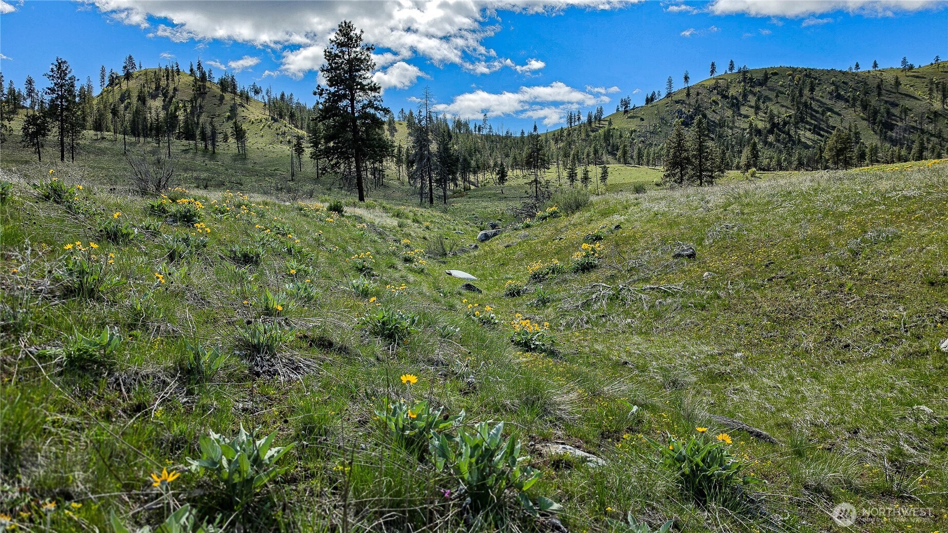1 Washington Creek Road , Chelan, WA 98816