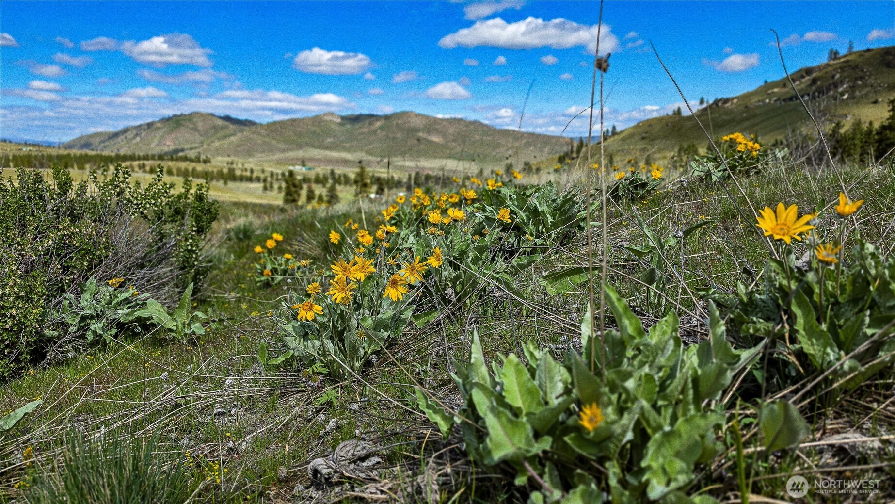 1 Washington Creek Road , Chelan, WA 98816
