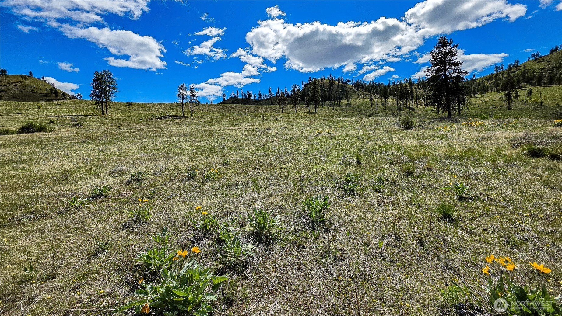 1 Washington Creek Road , Chelan, WA 98816