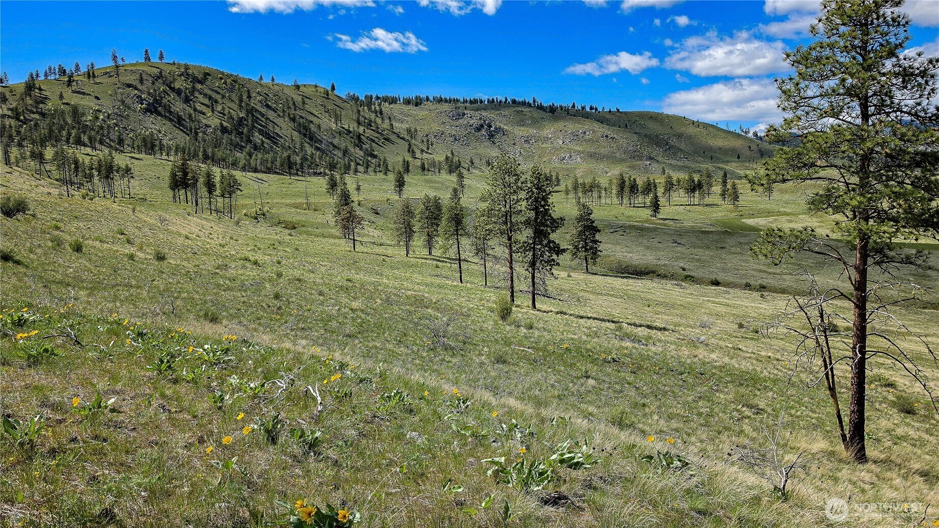 1 Washington Creek Road , Chelan, WA 98816