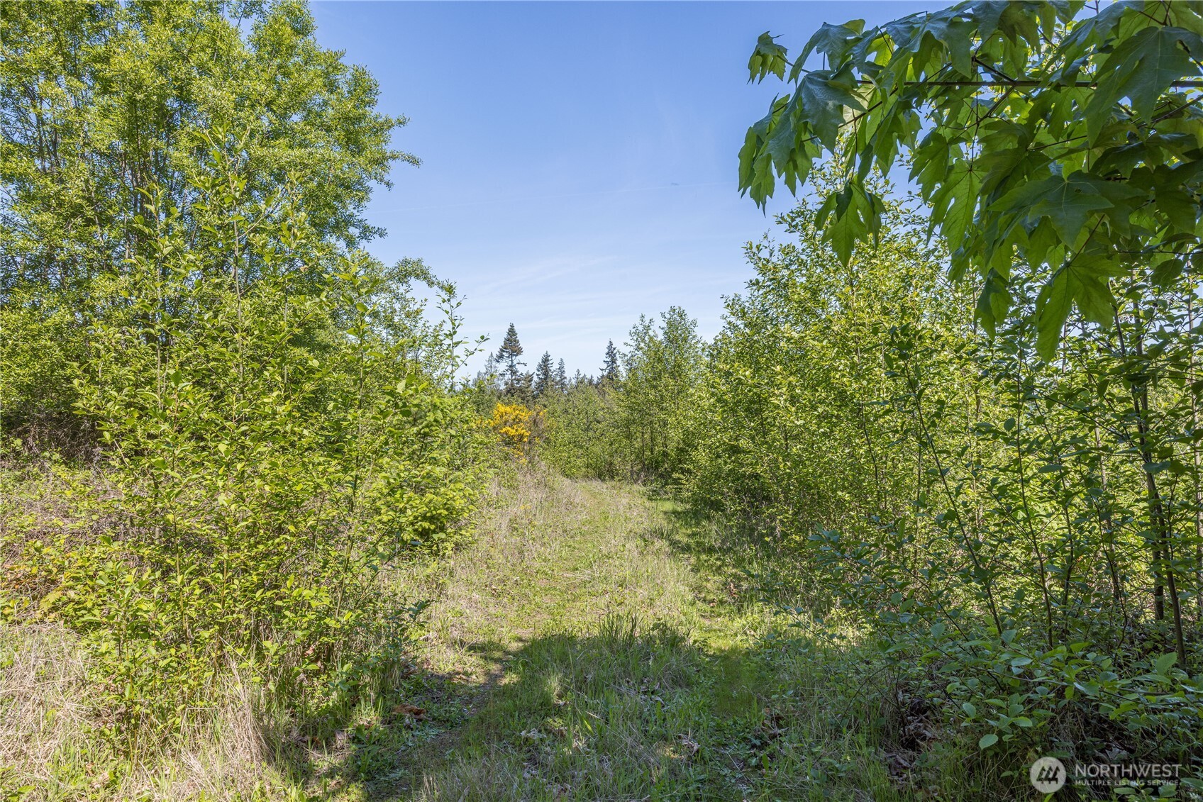 0 E Hwy 101 , Sequim, WA 98382