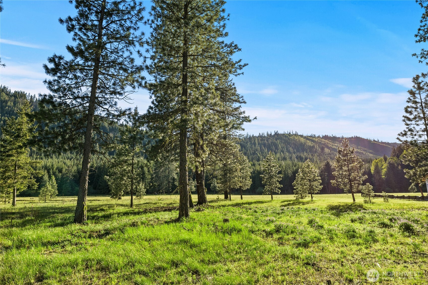 20 Domerie Park Loop , Cle Elum, WA 98922