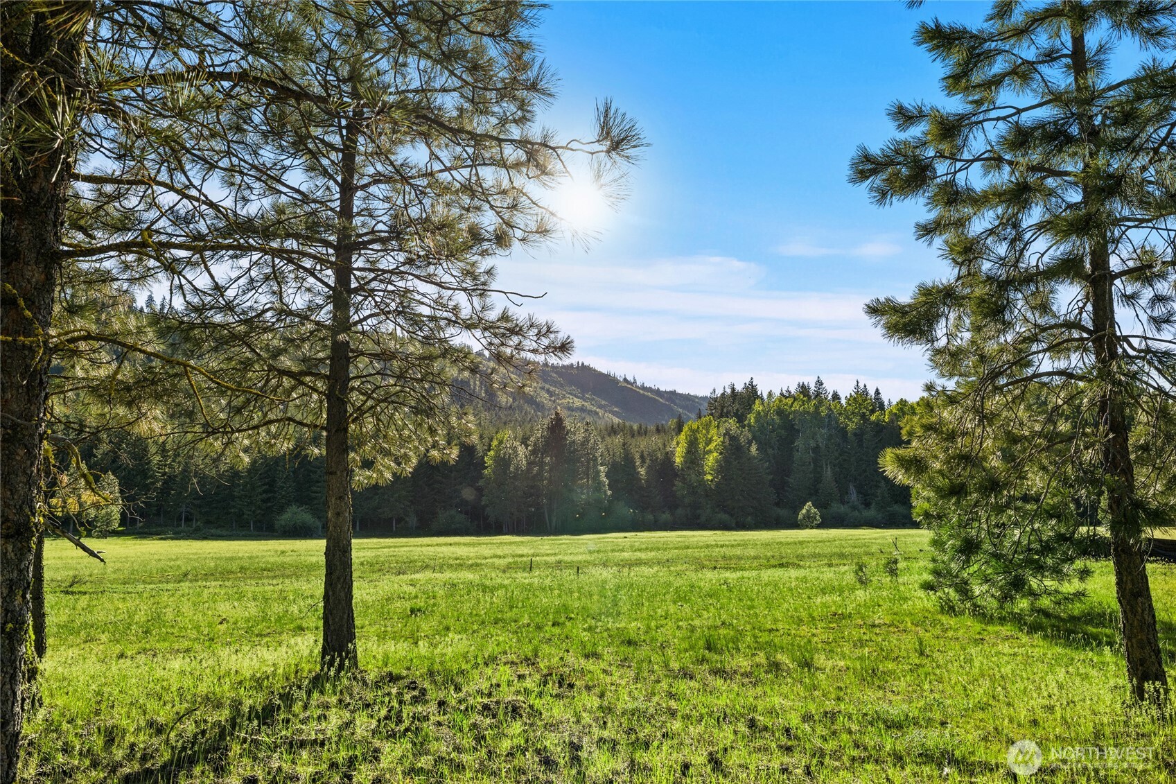 20 Domerie Park Loop , Cle Elum, WA 98922