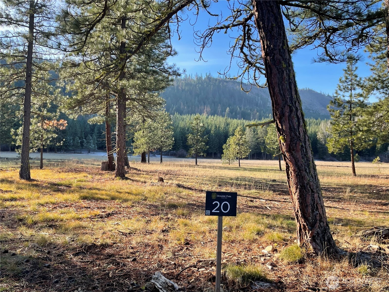 20 Domerie Park Loop , Cle Elum, WA 98922