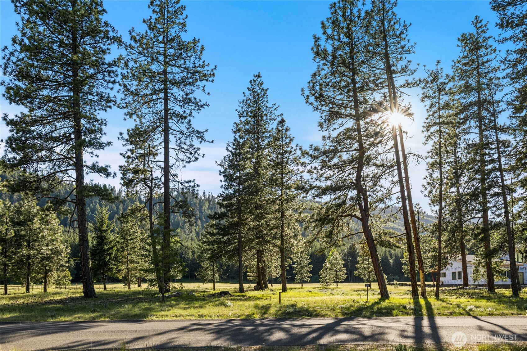 20 Domerie Park Loop , Cle Elum, WA 98922