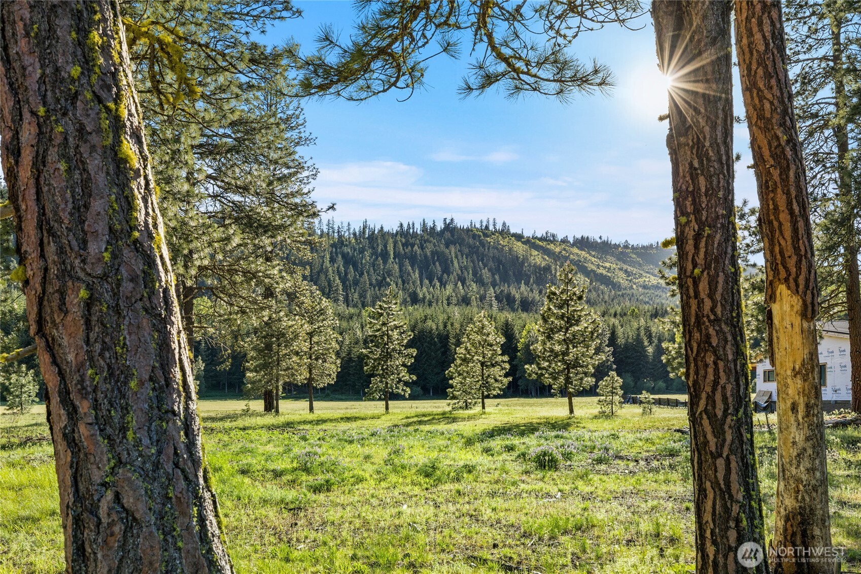 20 Domerie Park Loop , Cle Elum, WA 98922