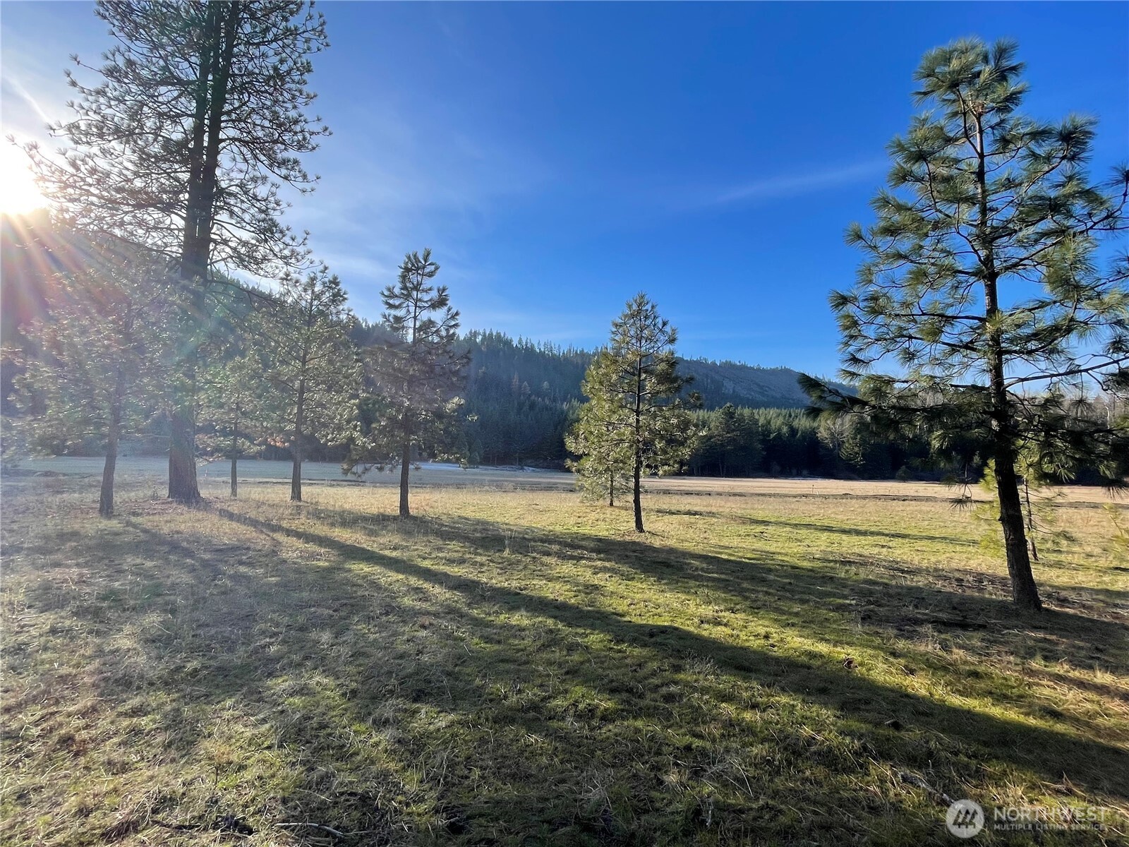 20 Domerie Park Loop , Cle Elum, WA 98922