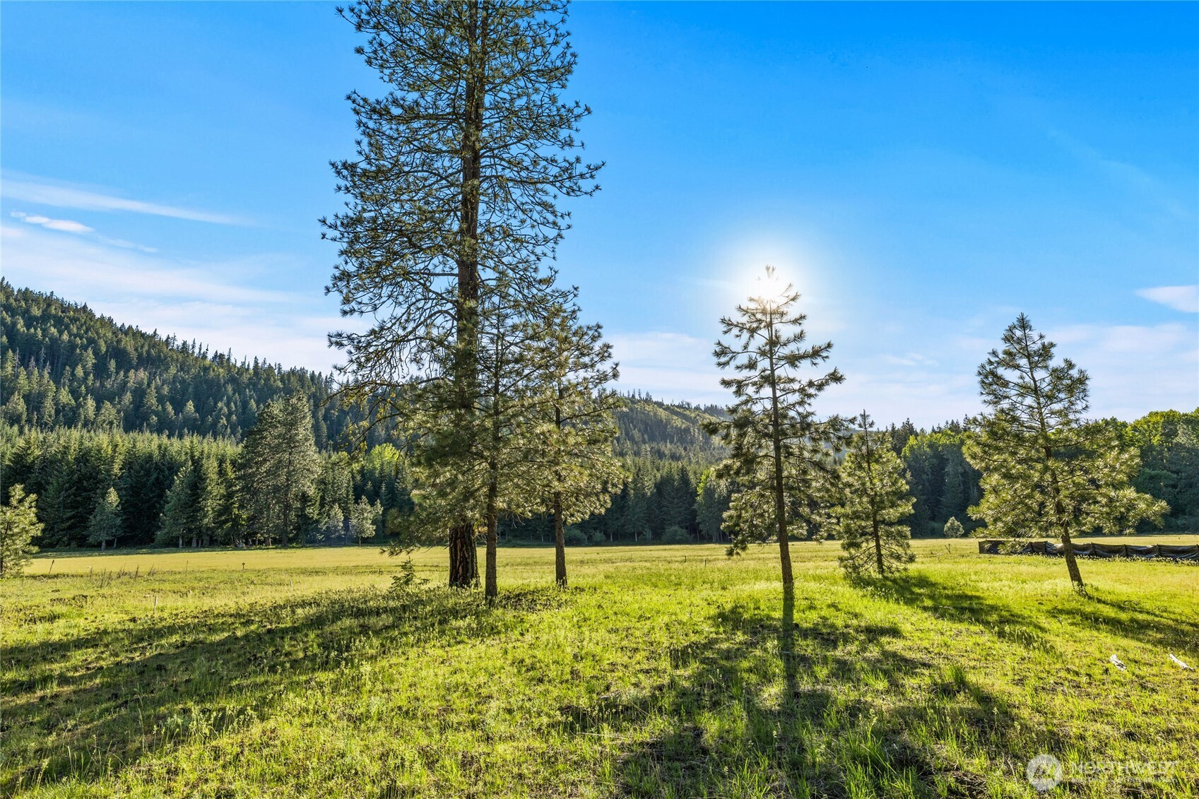 20 Domerie Park Loop , Cle Elum, WA 98922