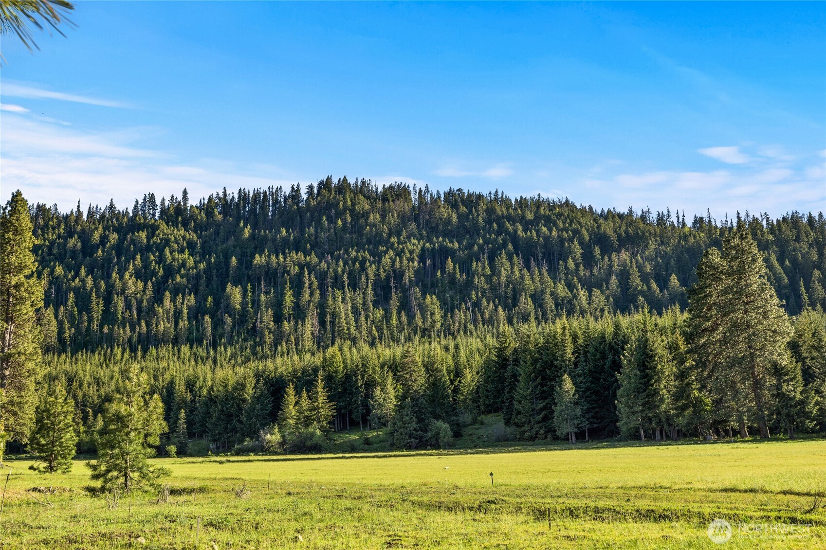 20 Domerie Park Loop , Cle Elum, WA 98922