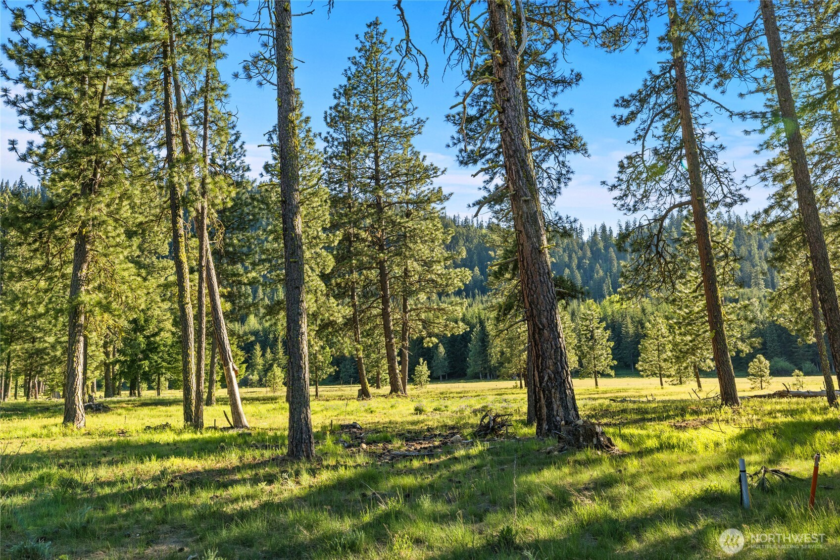 20 Domerie Park Loop , Cle Elum, WA 98922
