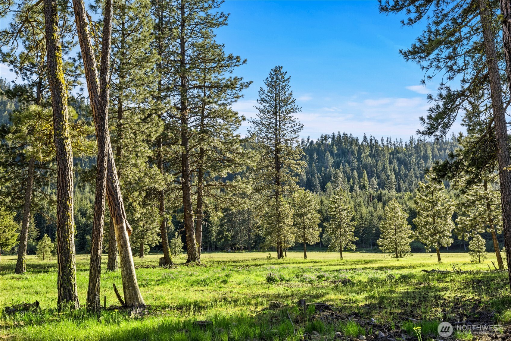 20 Domerie Park Loop , Cle Elum, WA 98922