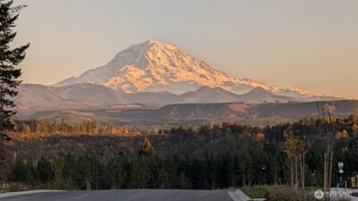 15816 205th Avenue E, Bonney Lake, WA 98391 - Photo 38
