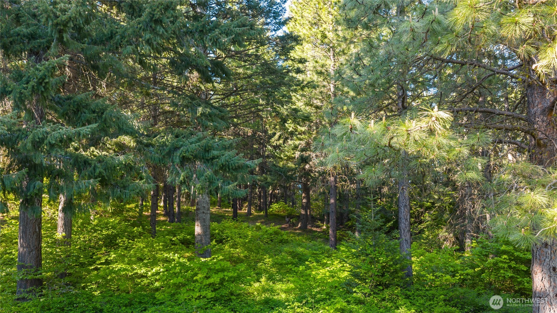 940 Iron Monarch Loop , Cle Elum, WA 98922