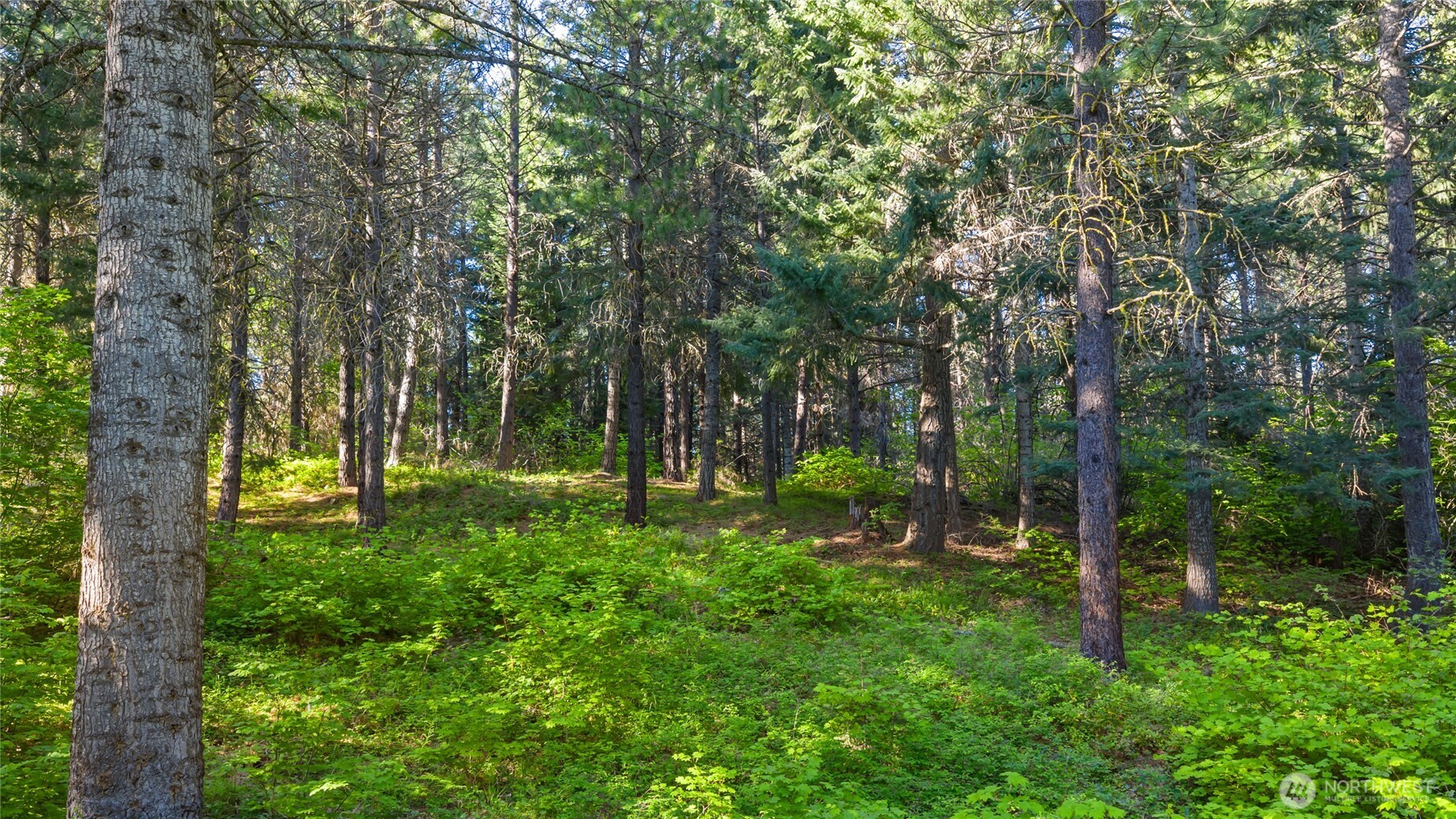 940 Iron Monarch Loop , Cle Elum, WA 98922