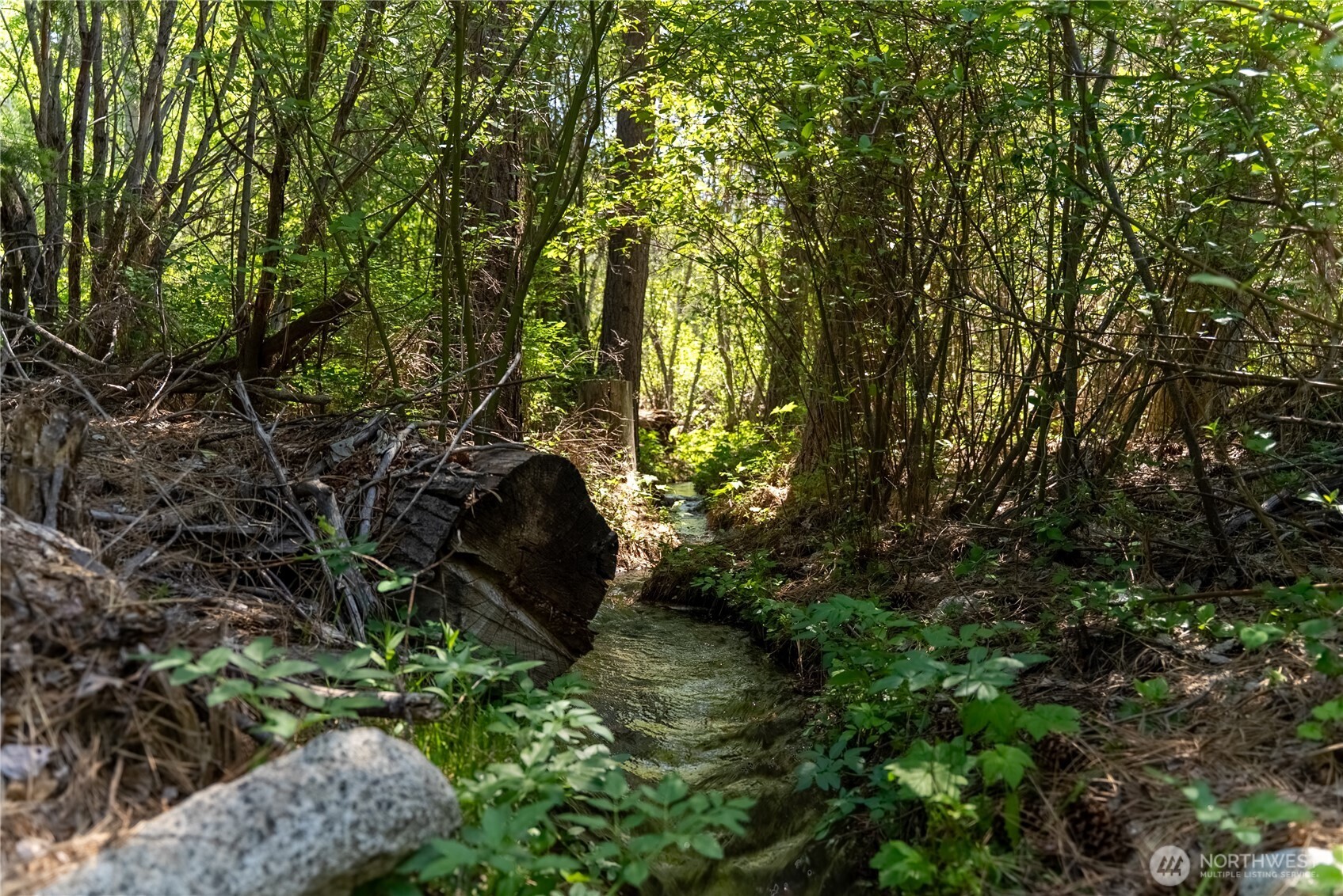 37 E Buttermilk Creek Road , Twisp, WA 98856