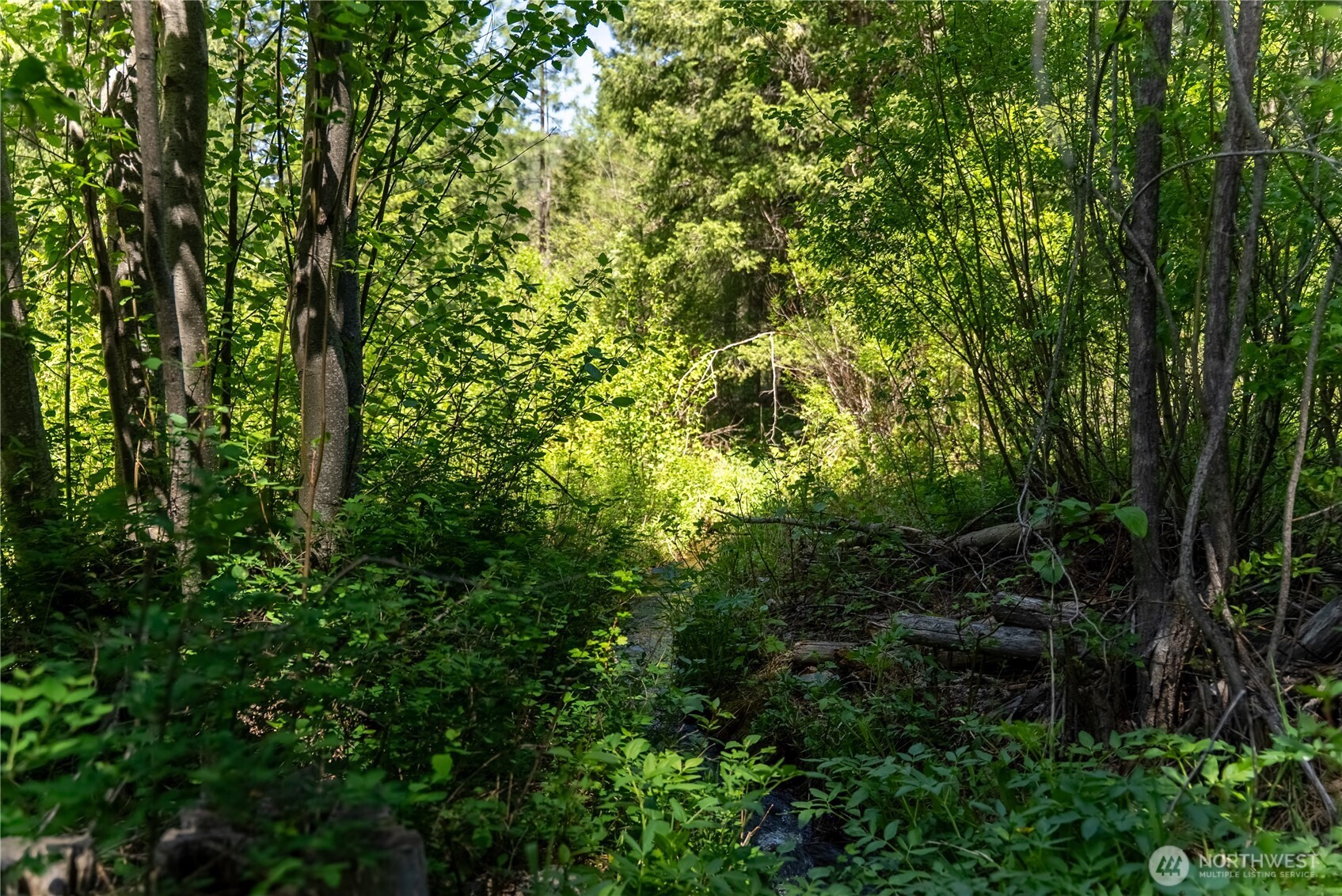37 E Buttermilk Creek Road , Twisp, WA 98856