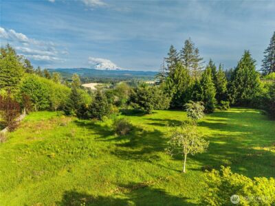 23421 Rim Road E, Graham, WA 98338 - Photo 2
