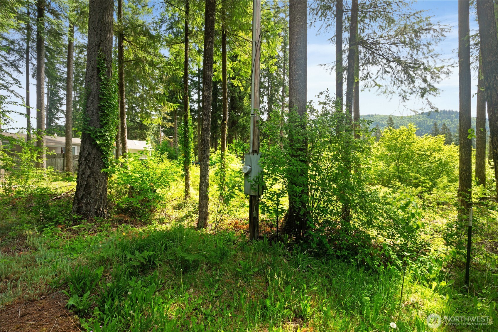 6182 Chestnut Drive , Maple Falls, WA 98266