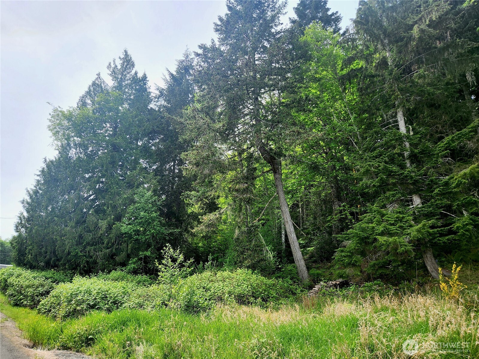 71 & 81 N Mardell Avenue , Hoodsport, WA 98548