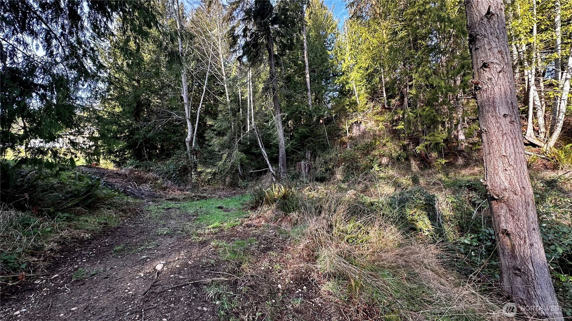 9999 Holland Drive , Port Townsend, WA 98368