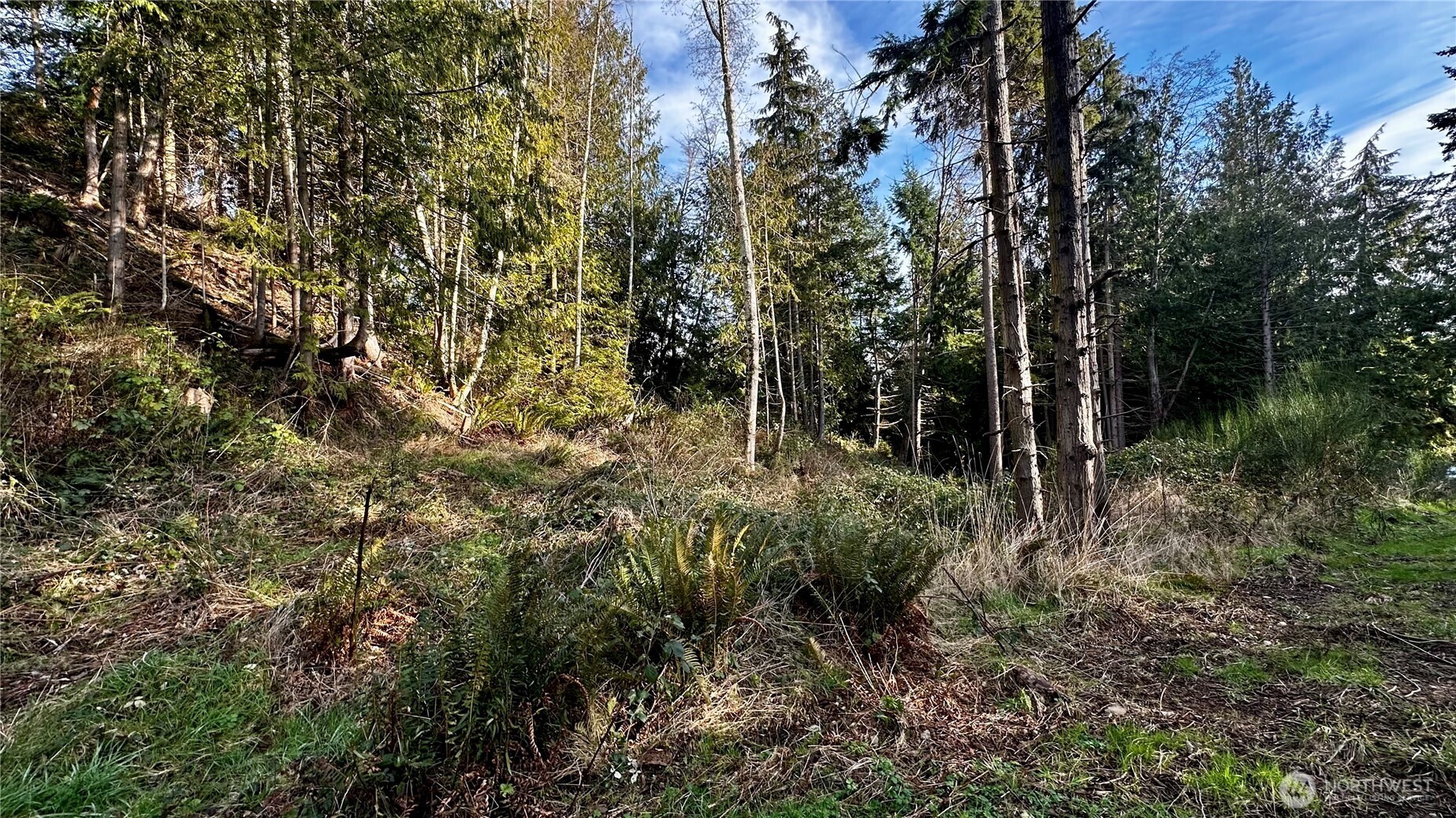 9999 Holland Drive , Port Townsend, WA 98368