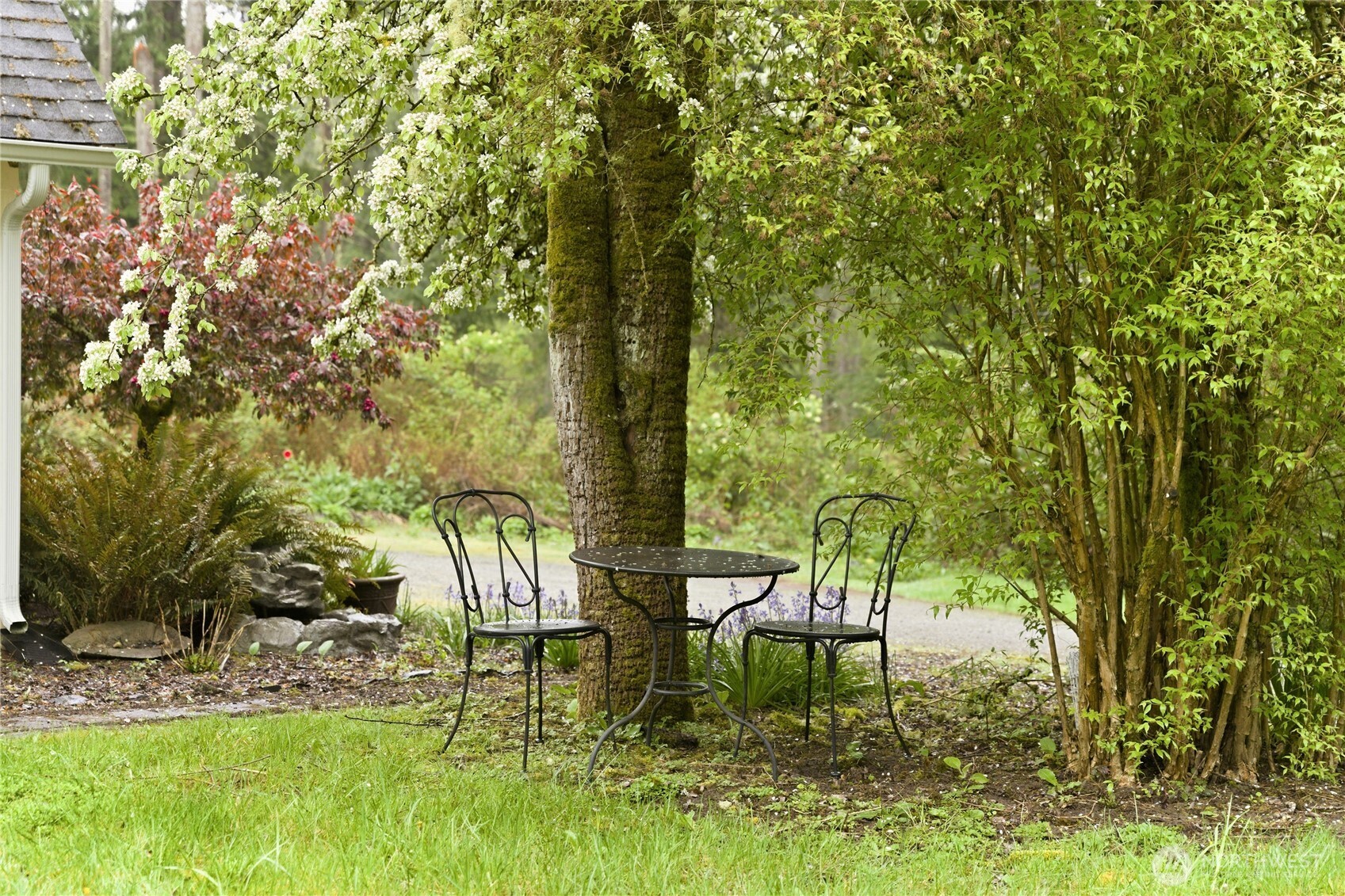 6557 Cultus Bay Road , Clinton, WA 98236