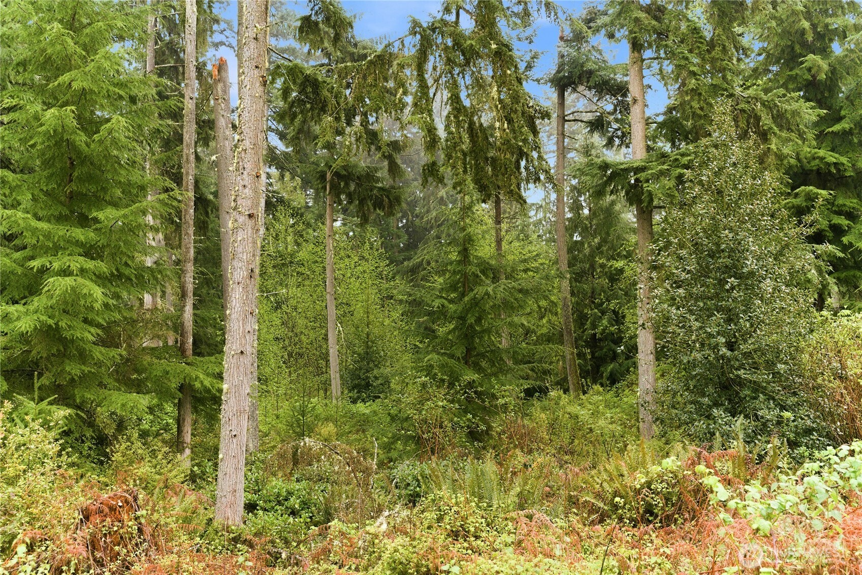 6557 Cultus Bay Road , Clinton, WA 98236