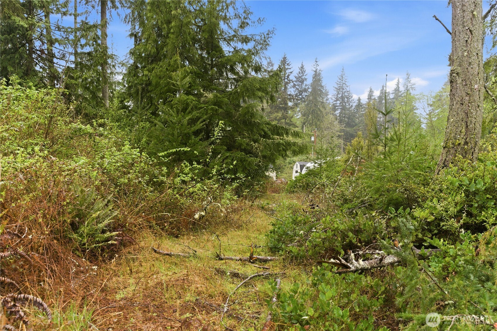6557 Cultus Bay Road , Clinton, WA 98236