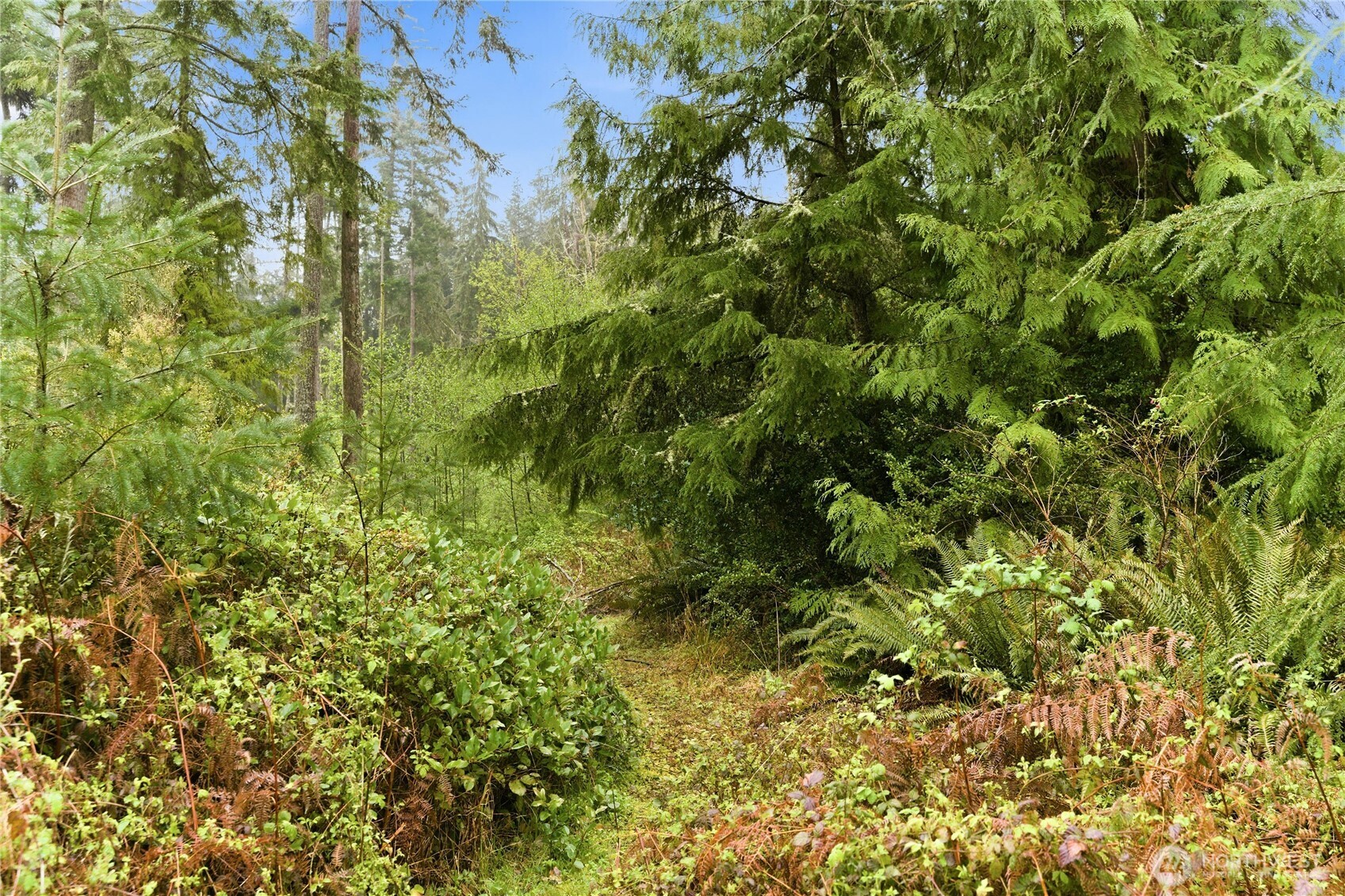 6557 Cultus Bay Road , Clinton, WA 98236