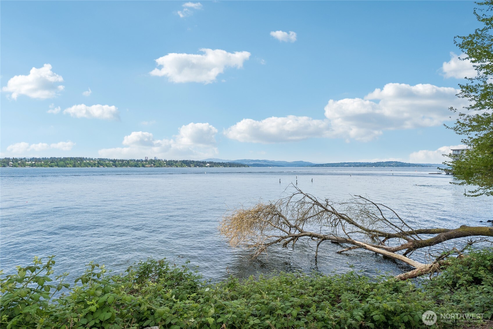 1929 43rd Avenue E #200, Seattle, WA 98112