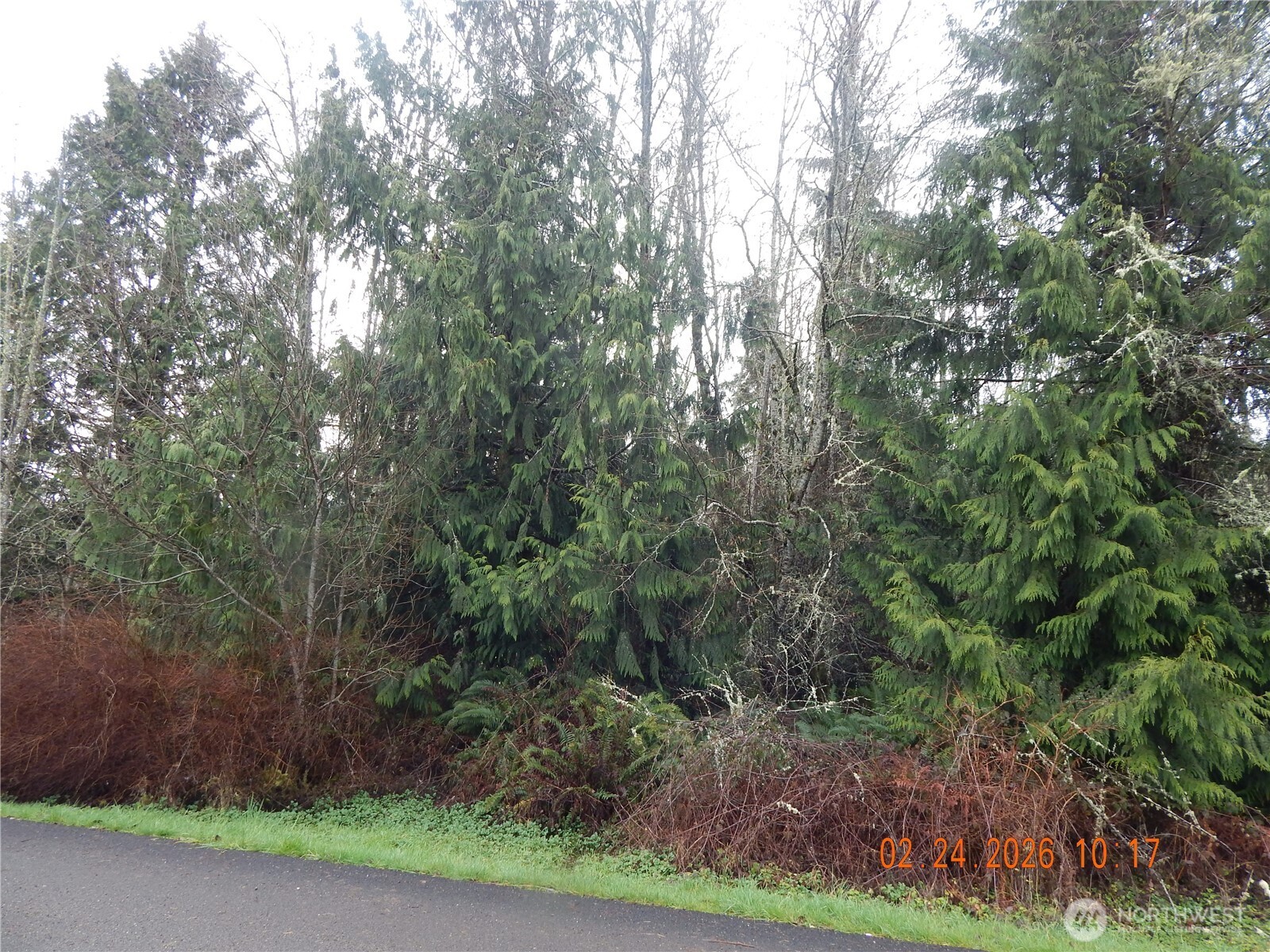 9999 Farrington Road , Port Angeles, WA 98363