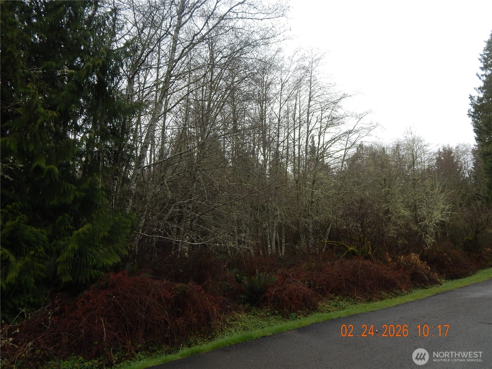 9999 Farrington Road , Port Angeles, WA 98363