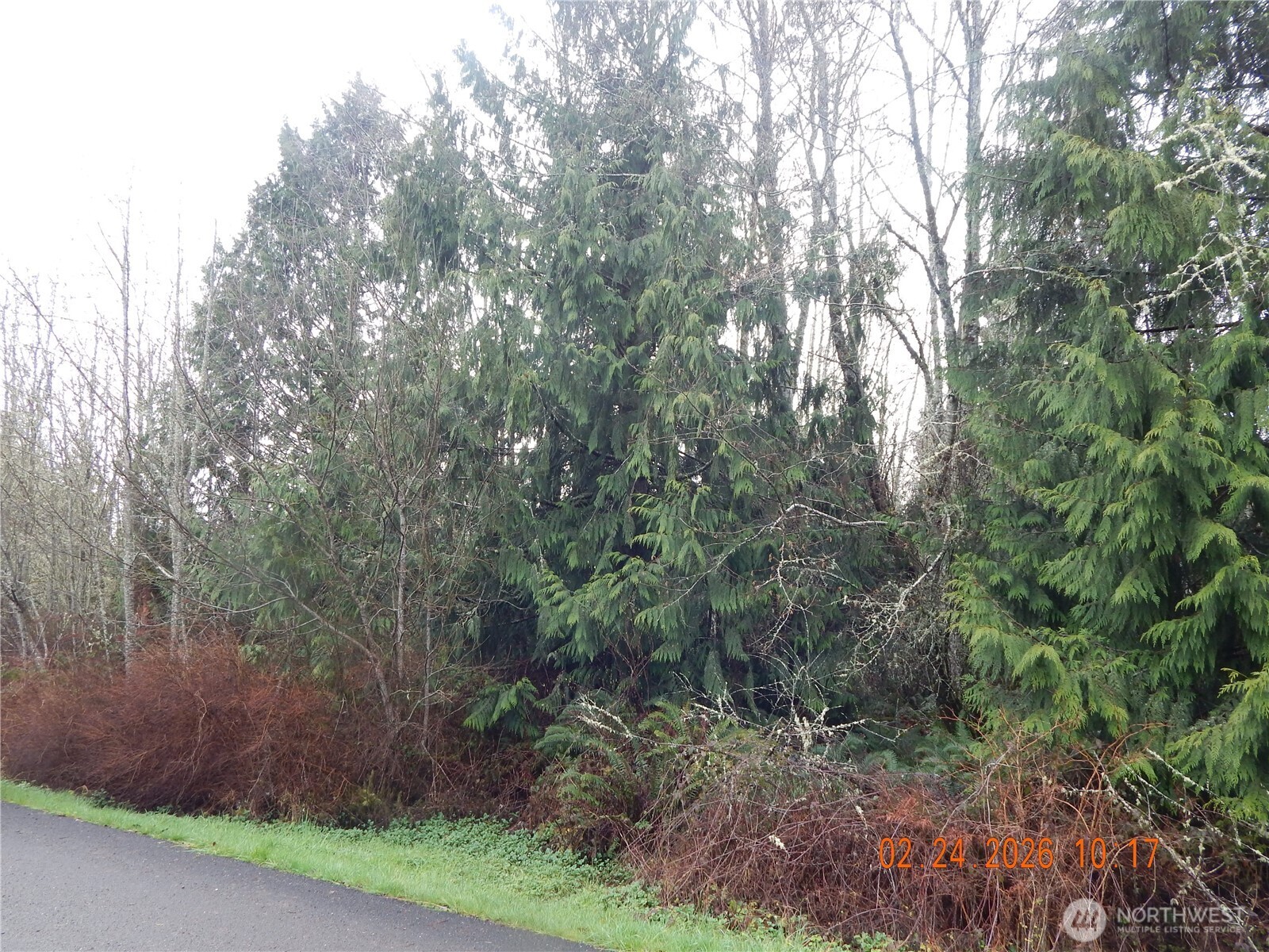 9999 Farrington Road , Port Angeles, WA 98363