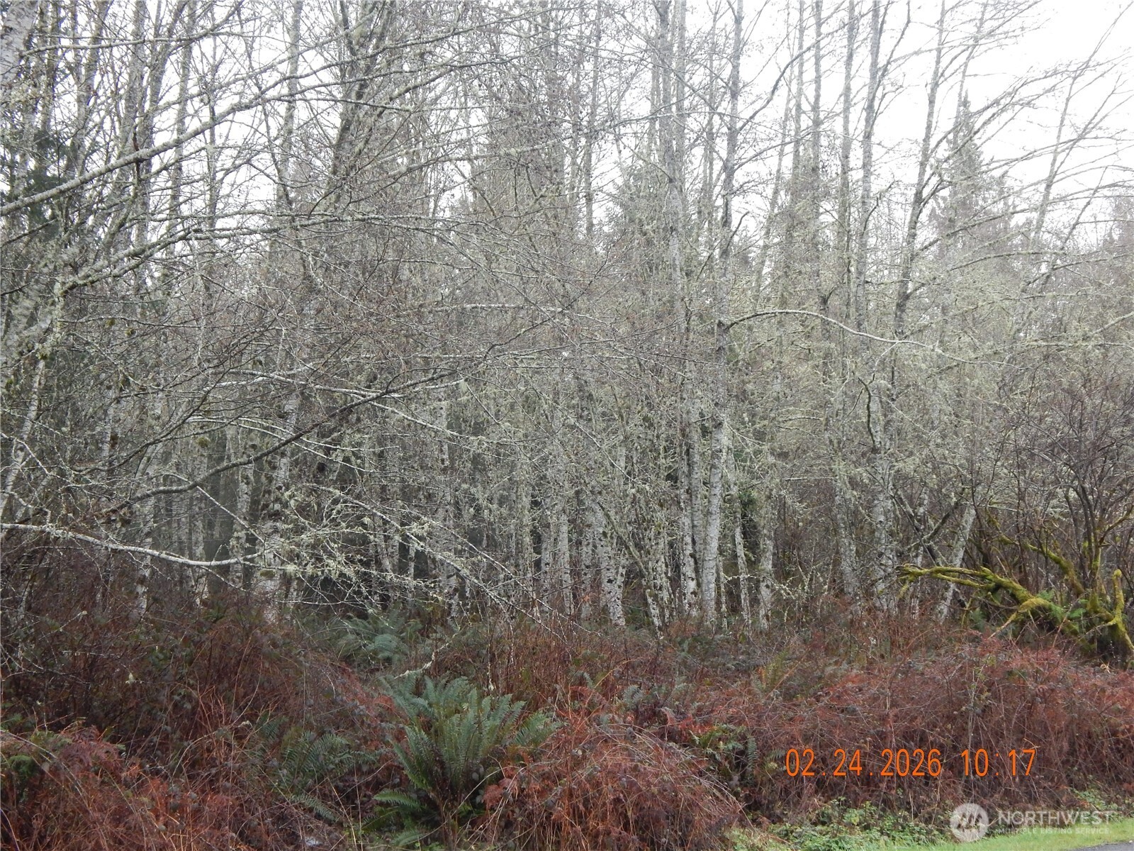 9999 Farrington Road , Port Angeles, WA 98363