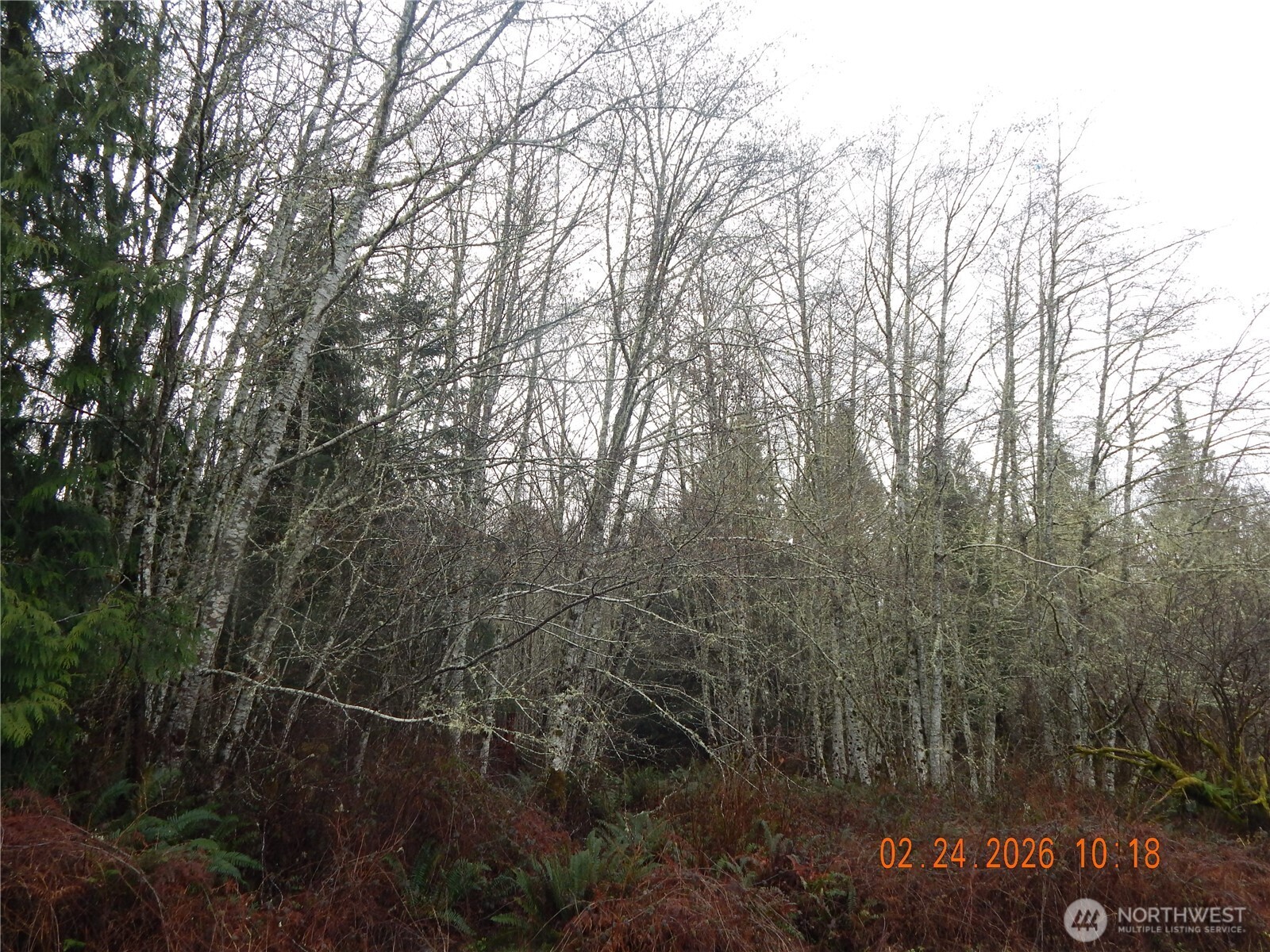 9999 Farrington Road , Port Angeles, WA 98363