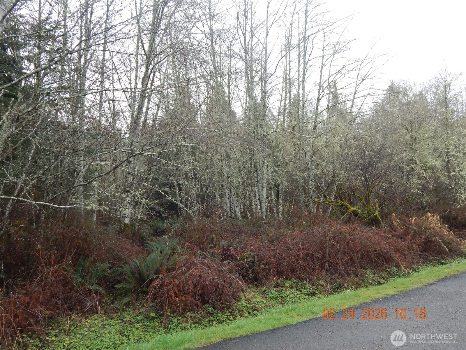 9999 Farrington Road , Port Angeles, WA 98363