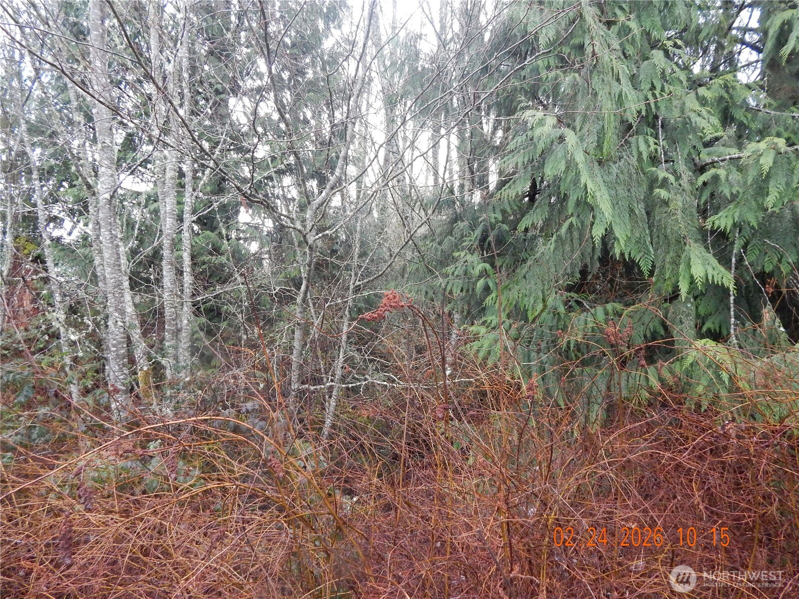 9999 Farrington Road , Port Angeles, WA 98363