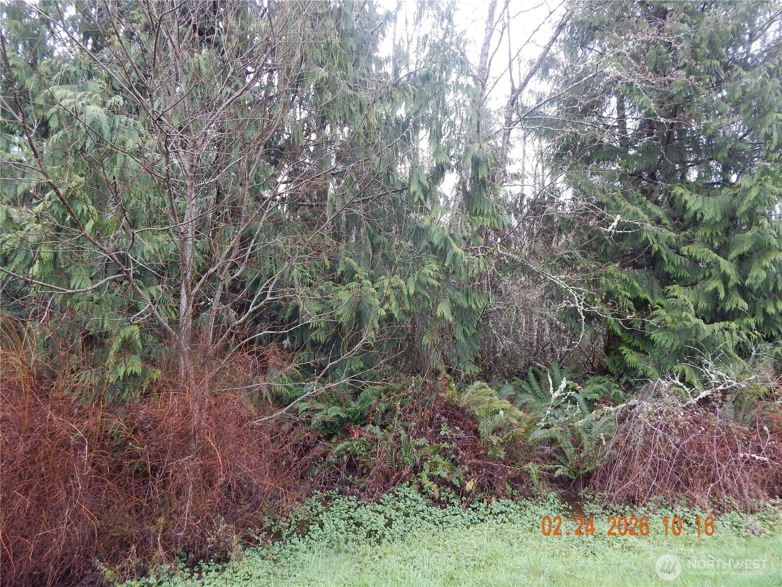 9999 Farrington Road , Port Angeles, WA 98363