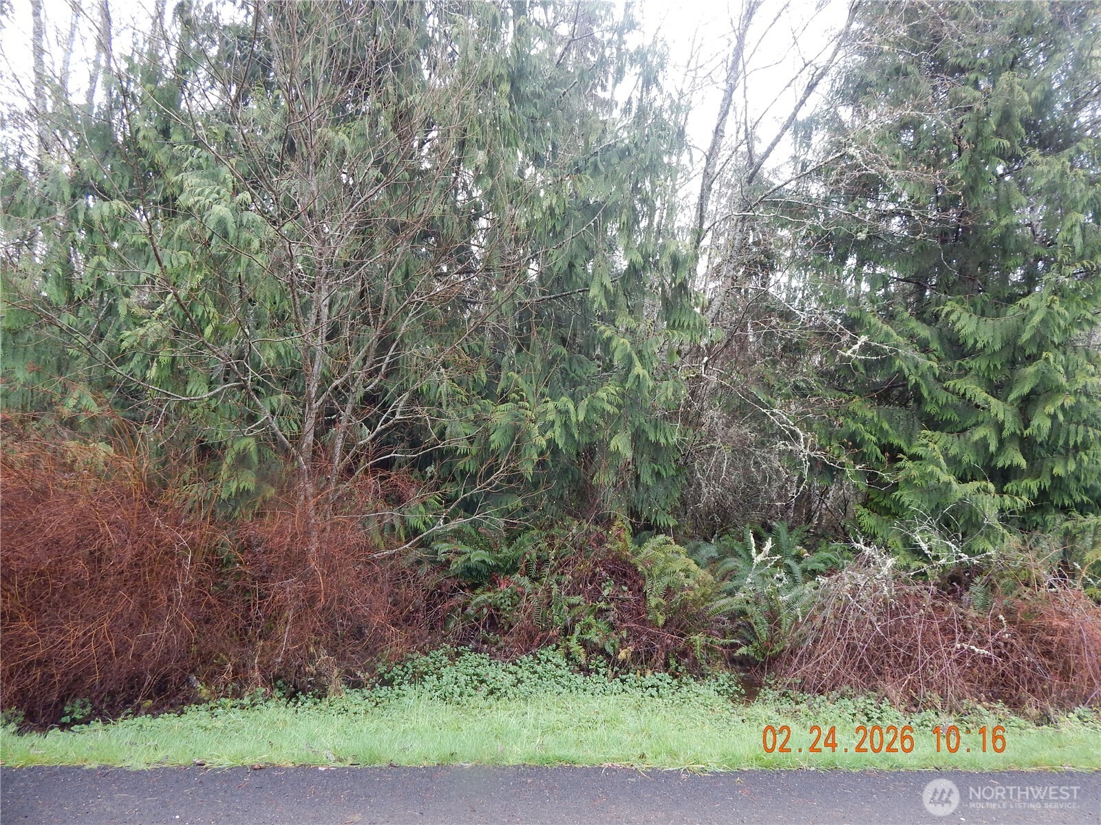 9999 Farrington Road , Port Angeles, WA 98363