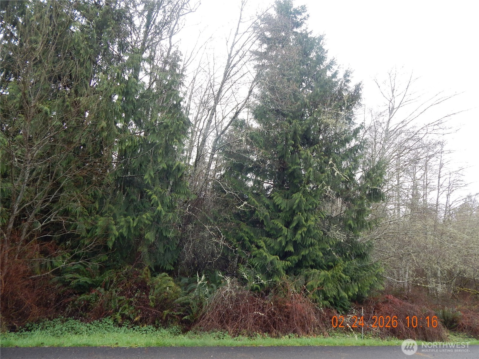9999 Farrington Road , Port Angeles, WA 98363
