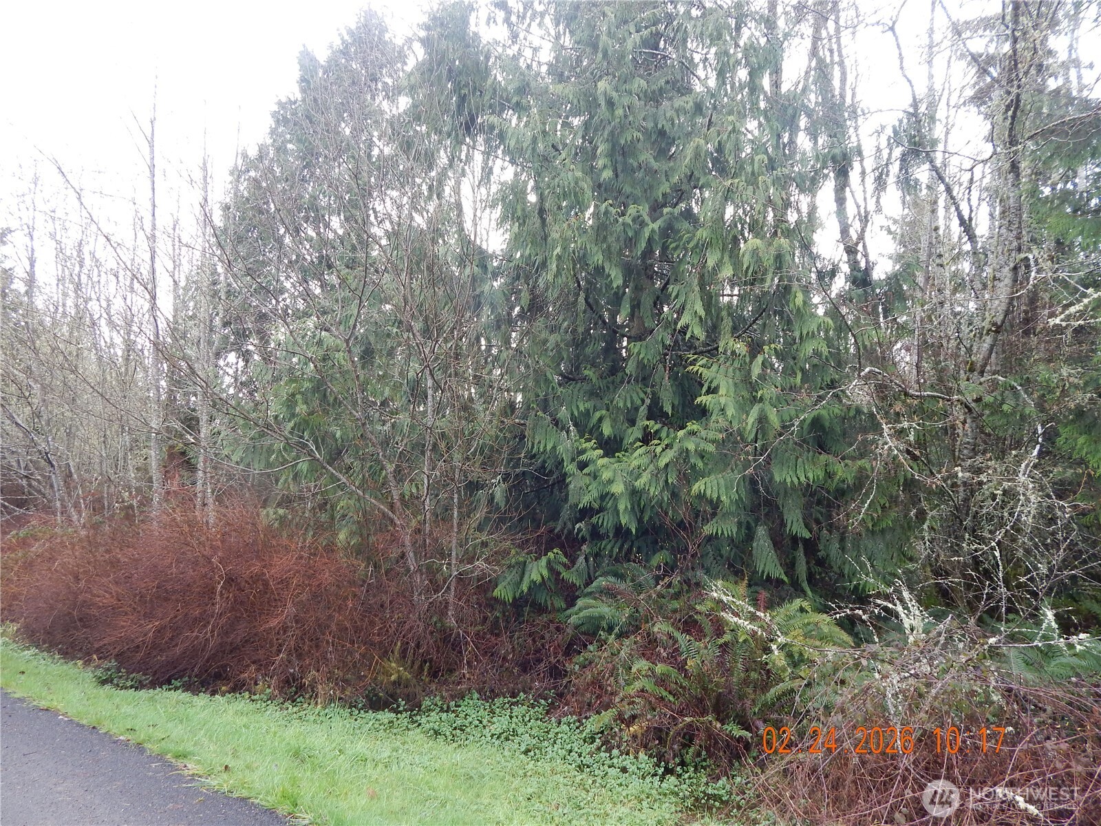 9999 Farrington Road , Port Angeles, WA 98363