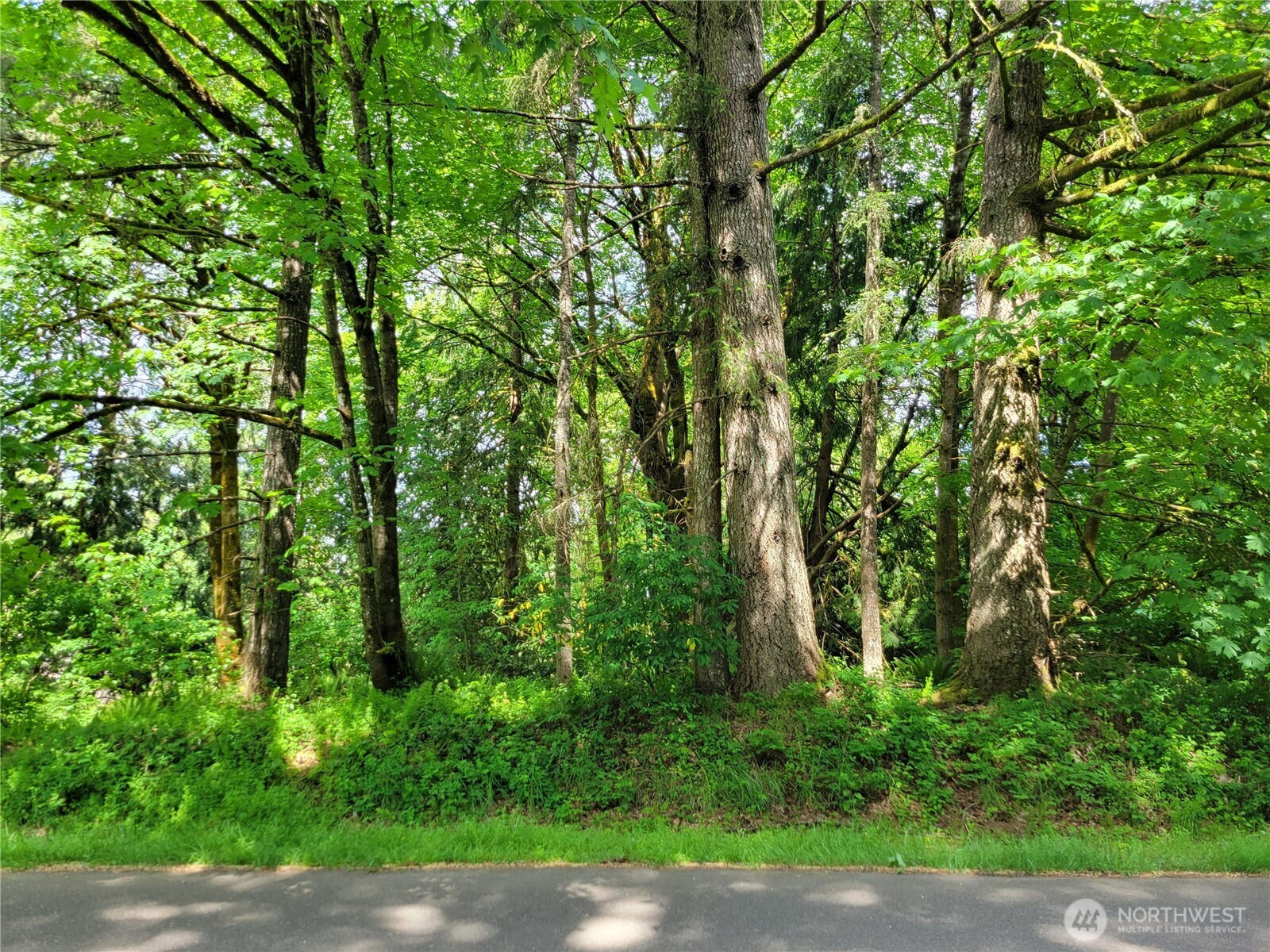 12404 Champion Drive SW, Olympia, WA 98512