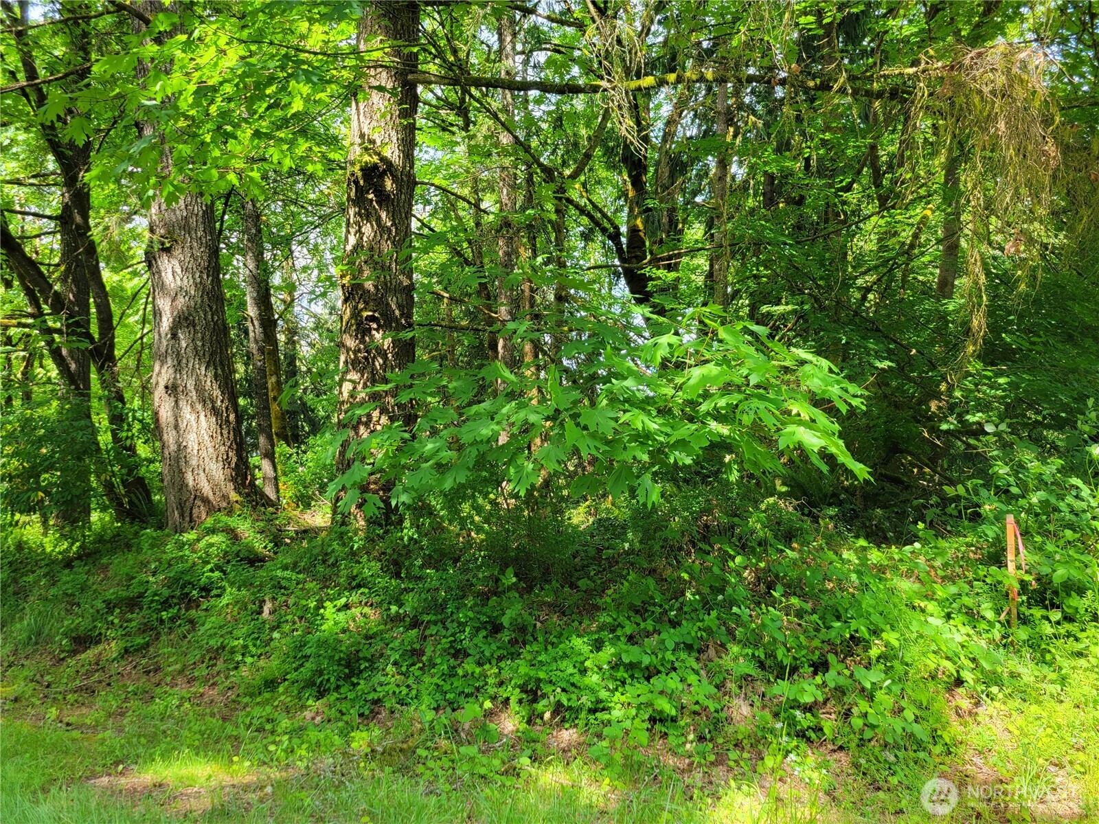 12404 Champion Drive SW, Olympia, WA 98512