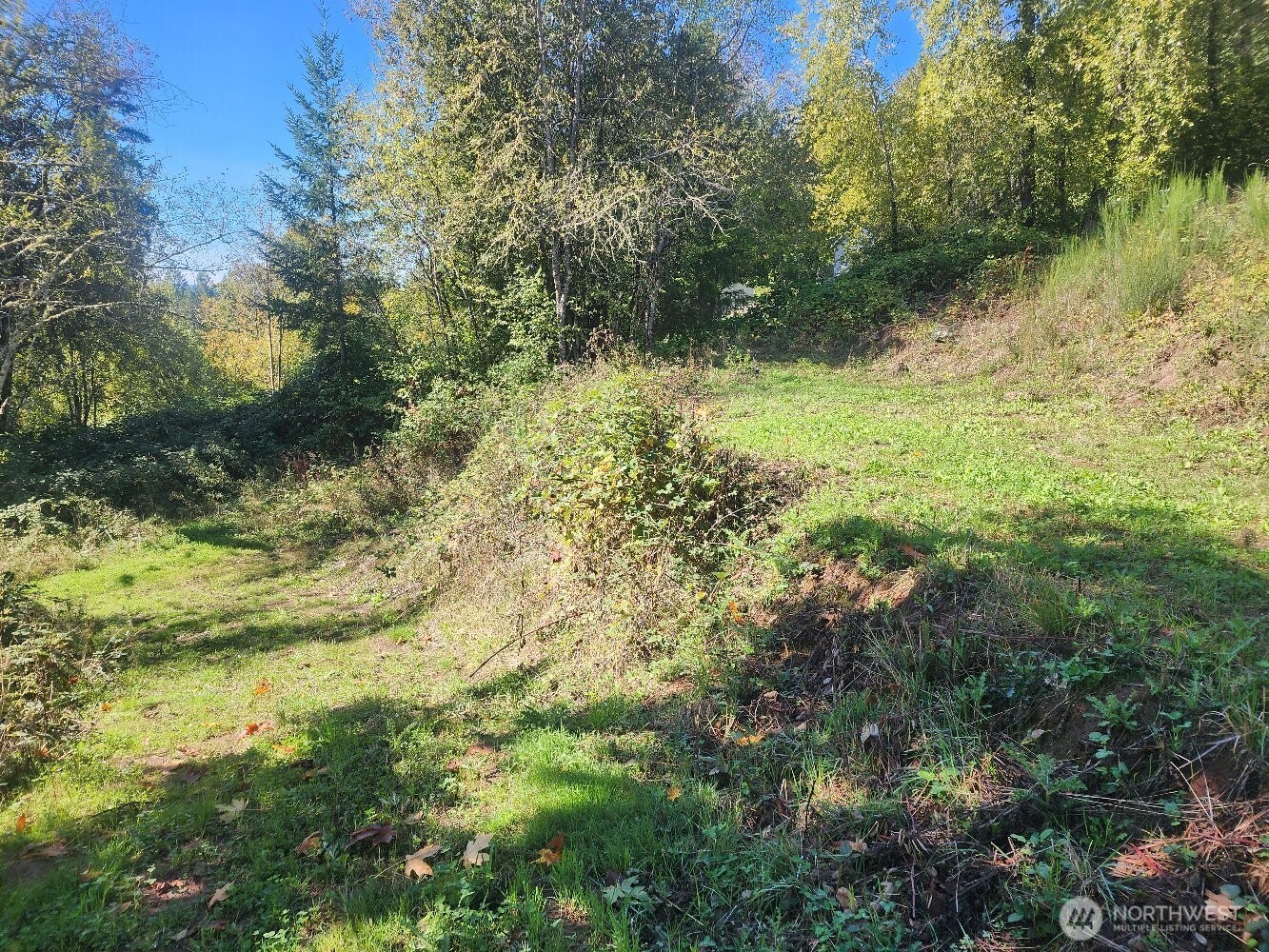 4733 Green Mountain Road , Kalama, WA 98625