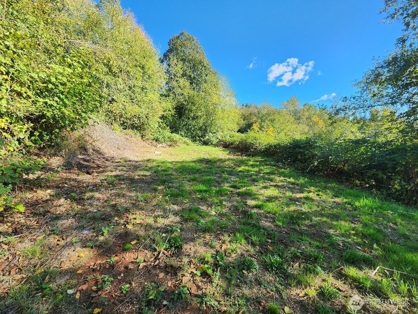 4733 Green Mountain Road , Kalama, WA 98625