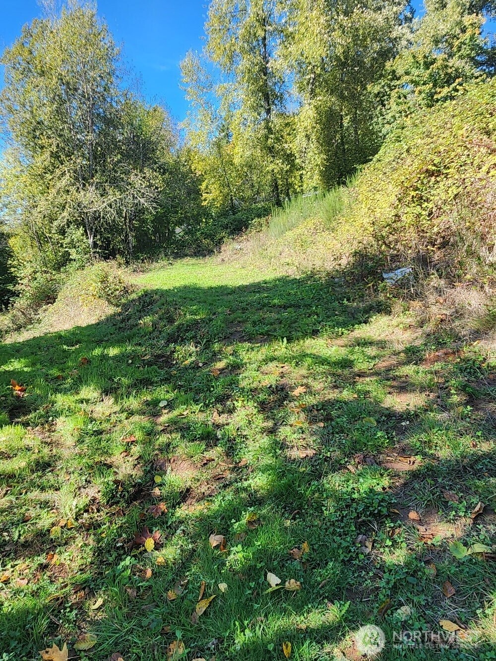 4733 Green Mountain Road , Kalama, WA 98625