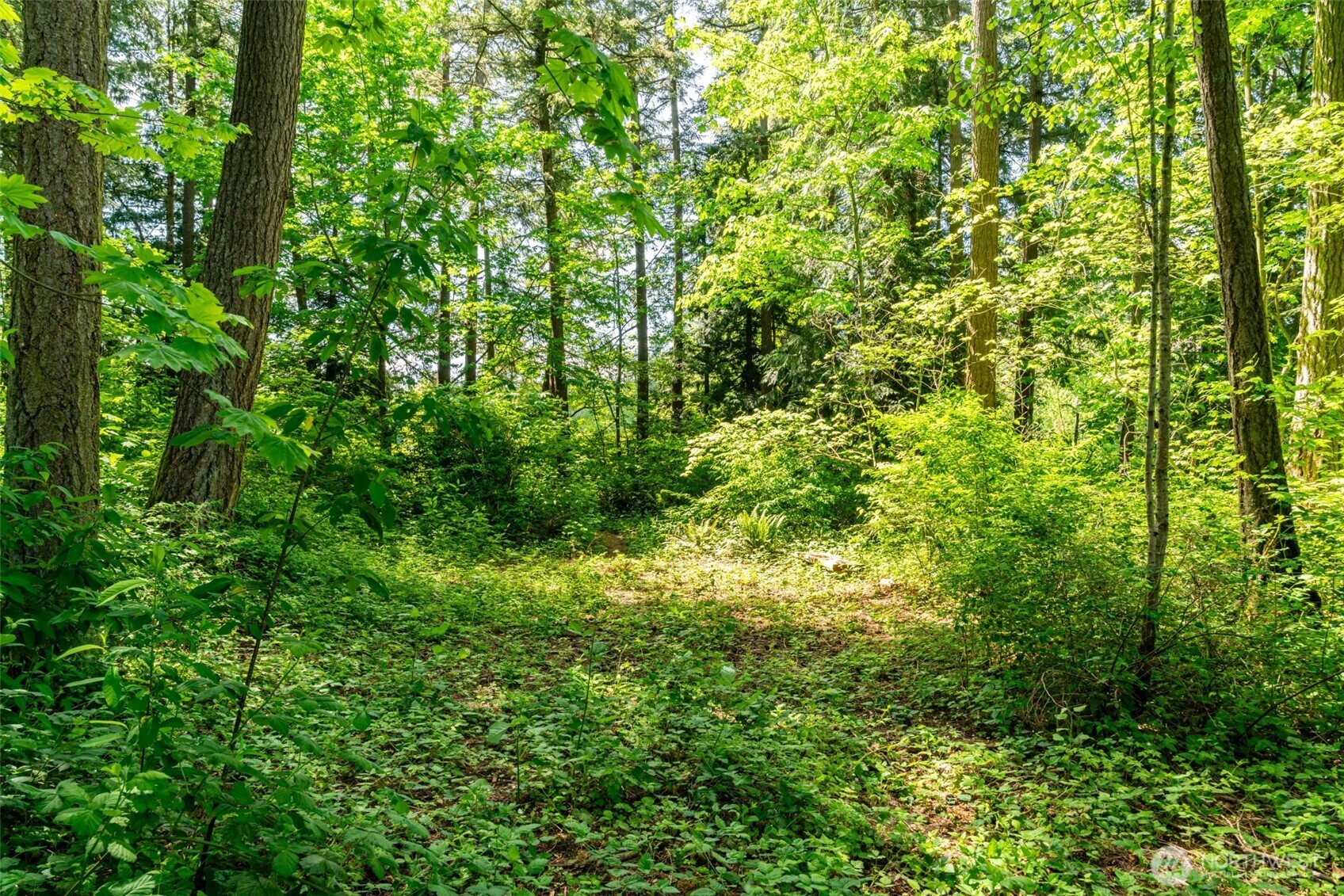 5862 Noon Road , Bellingham, WA 98226