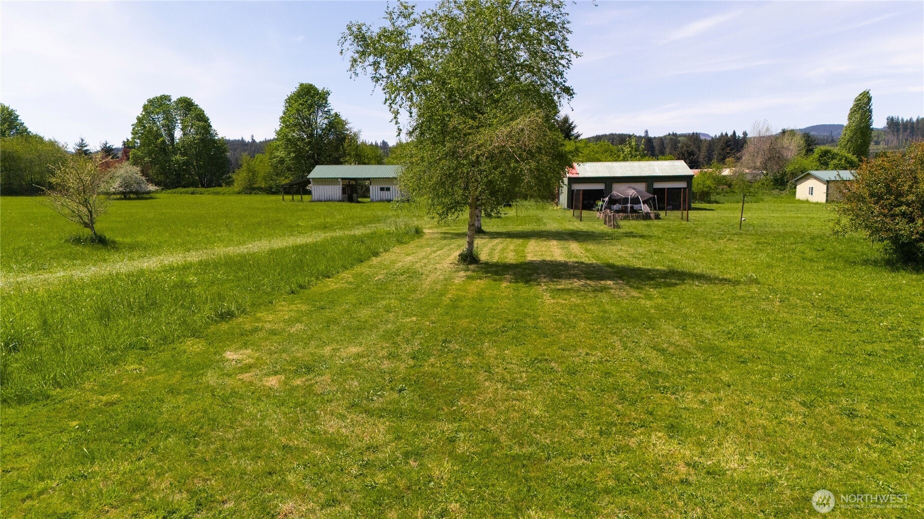 1 Alder Street #Lot 1, Pe Ell, WA 98572