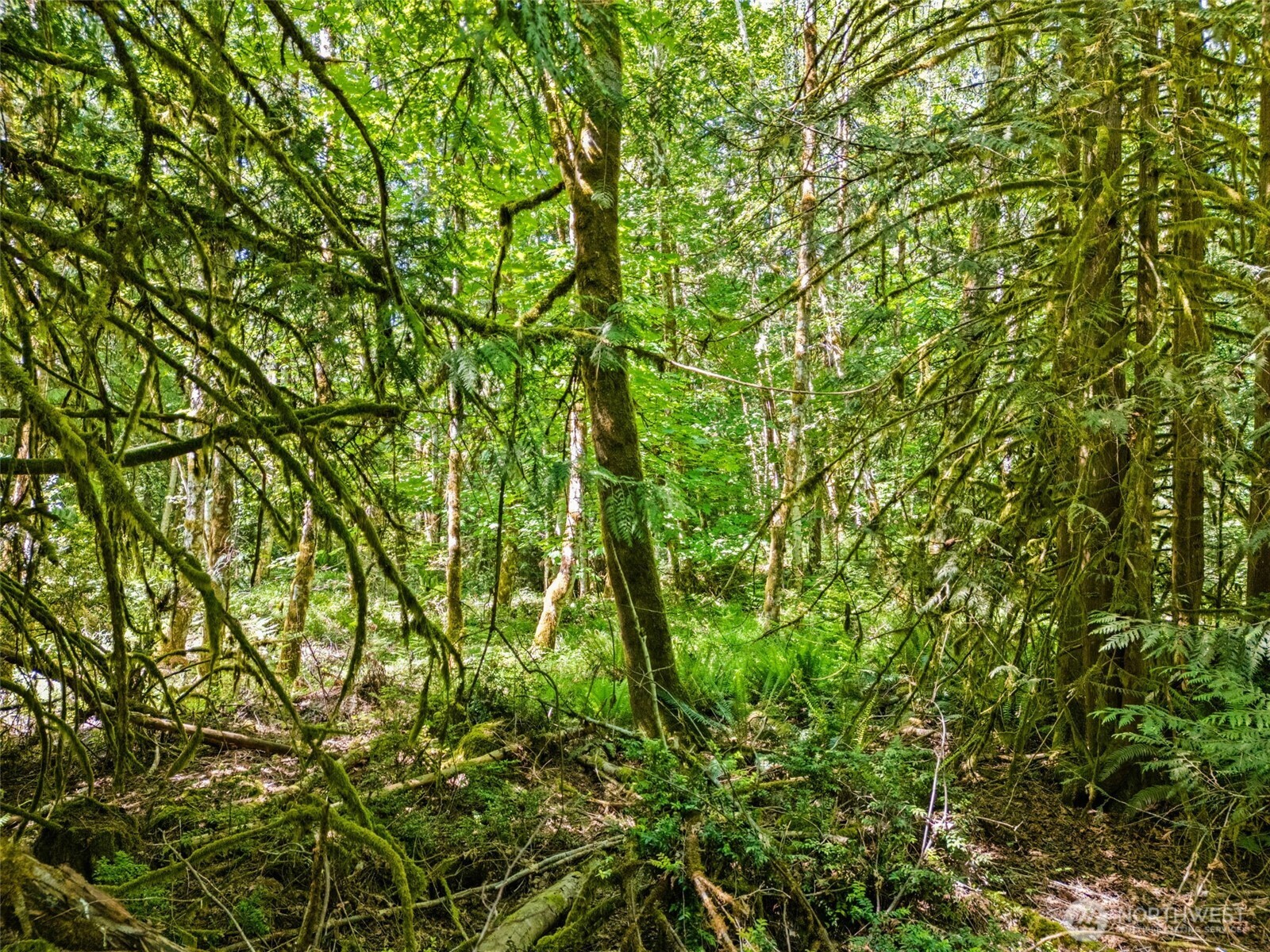 0 TR D E Jared Road , Shelton, WA 98584